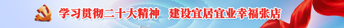 學(xué)習(xí)貫徹二十大精神 建設(shè)宜居宜業(yè)幸福張店