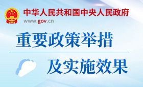 重要政策舉措及實(shí)施效果